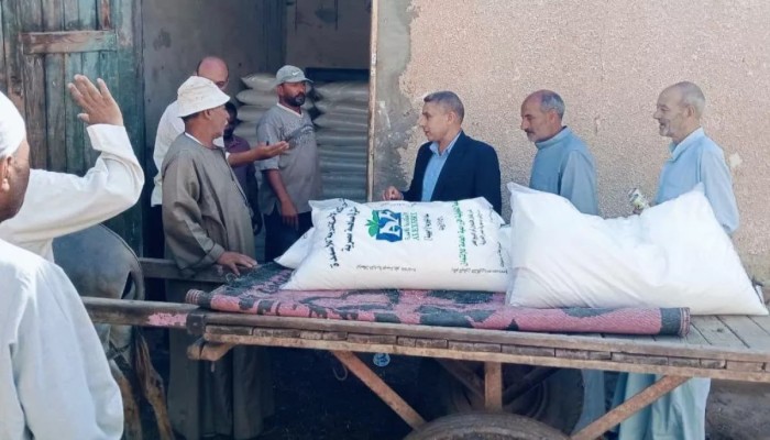 الأزمة تطال آلاف الأسر بصعيد مصر..الحكومة تخفض حصص سماد القصب وتهدد المزارعين بالعقوبات