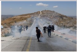 الجارديان || على حلفاء إسرائيل حماية الفلسطينيين في الضفة الغربية وصون سبل معيشتهم