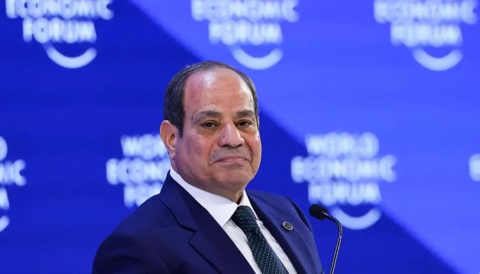 مدى مصر || حكومة السيسي تتمسك بحصتها في شركة الإسكندرية لتداول الحاويات رغم عرض إماراتي لزيادة الملكية