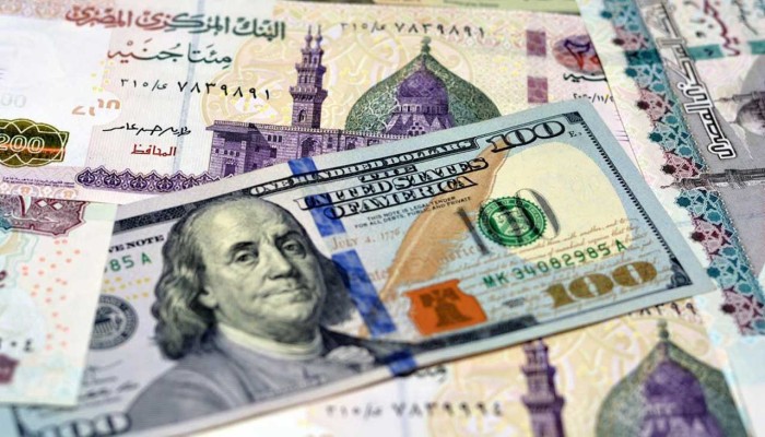 هبوط الدولار إلى ما دون 50 جنيهًا.. مكاسب مؤقتة أم تحول اقتصادي مستدام؟