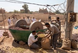 بعد مقتل أكثر من 50..  الجيش المصري يعتقل العشرات من عمال المناجم السودانيين