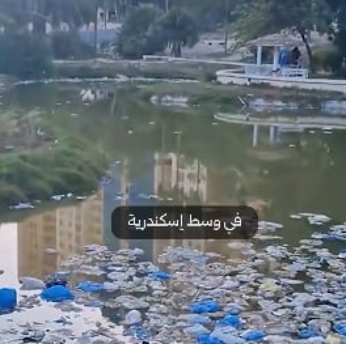 بالفيديو|| استغاثات من قلب الإسكندرية.. حديقة الشلالات تتحول إلى أوكار مخدرات والممارسات المشبوهة
