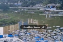 بالفيديو|| استغاثات من قلب الإسكندرية.. حديقة الشلالات تتحول إلى أوكار مخدرات والممارسات المشبوهة