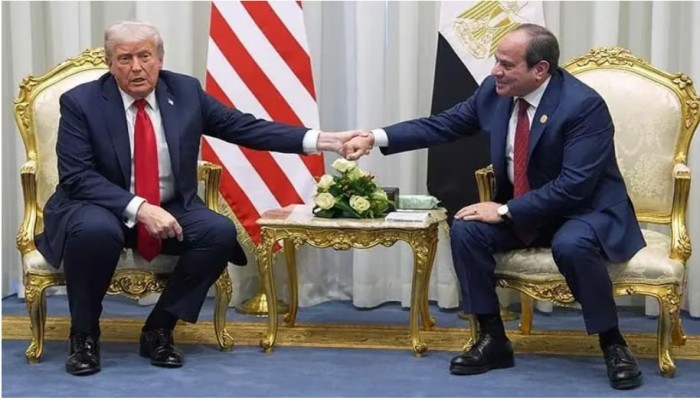 ذا أفريكا ريبورت ||كيف أصبحت مصر القوة الوسطى التي يحتاجها الجميع؟