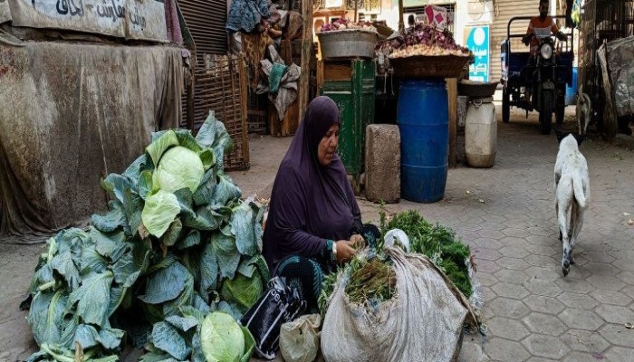 الانهيار الاقتصادي وتراكم الديون في مصر بعهد السيسي.. قراءة تحليلية لتقارير غربية