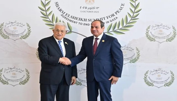 أوول إسرائيل نيوز || دور مصر التاريخي والمعاصر في الصراع الفلسطيني الإسرائيلي