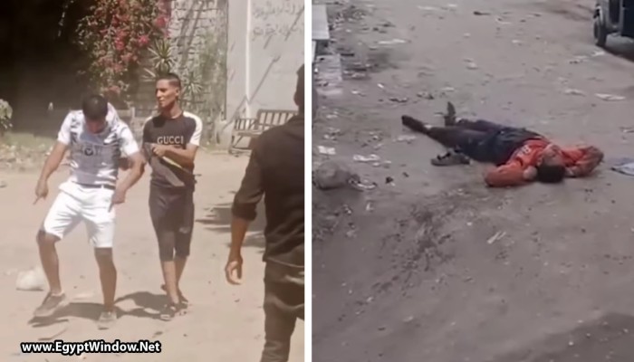 بالفيديو.. شباب يتحولون إلى "زومبي" بعد تعاطي المخدرات في الإسكندرية