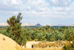 رفع تذاكر المواقع الأثرية بالواحات البحرية إلى 400 جنيه.. الحكومة تحوّل السياحة الداخلية إلى عبء على الأسر