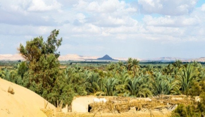رفع تذاكر المواقع الأثرية بالواحات البحرية إلى 400 جنيه.. الحكومة تحوّل السياحة الداخلية إلى عبء على الأسر