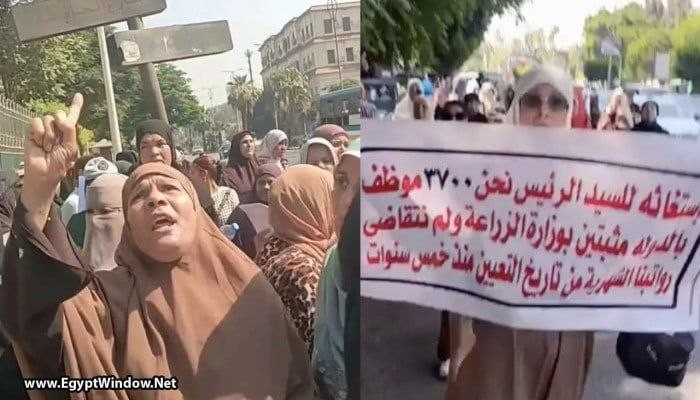 اعتقال 6 عاملين بوزارة الزراعة بعد احتجاجات بشوارع الجيزة للمطالبة برواتب متوقفة منذ 5 سنوات (فيديو)