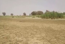 فيديو || ظهور مساحات كبيرة من ضفاف النيل بعد تراجع منسوب المياه في السودان