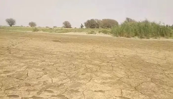 انحسار النيل في السودان يفضح خطر سد النهضة ويهدد مياه مصر وزراعتها