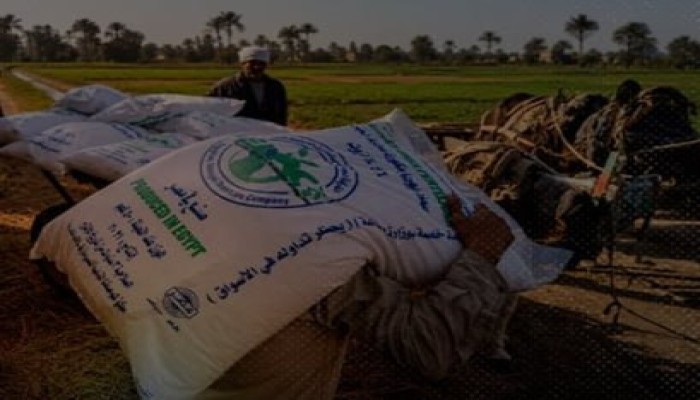 1000 حيازة وهمية في جمعية واحدة تسرق الأسمدة.. نهب أموال الدعم يهدد غذاء المصريين وسط حكومة غائبة