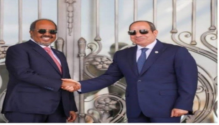 هورن ريفيو || مذكرة التفاهم البحرية بين مصر والصومال تعيد رسم خريطة النفوذ في البحر الأحمر