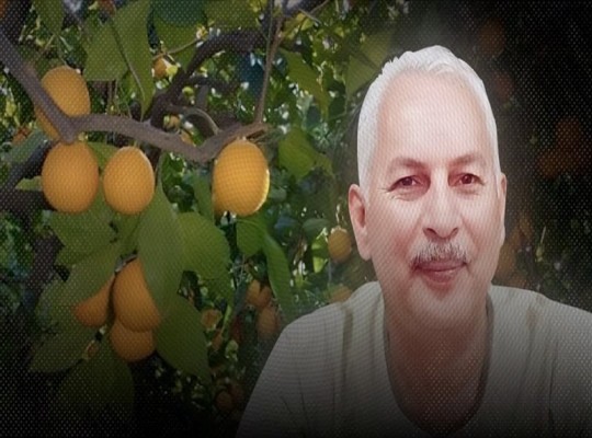 وقف الأسمدة وتضارب الروايات يهددان 2.3 مليون فدان بساتين ويضاعفان خسائر الفلاحين