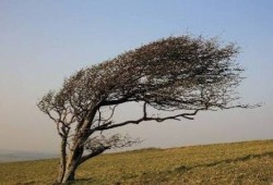 المرونة النفسية.. كيف ينحني الأطفال أمام الضغوط دون أن ينكسروا؟