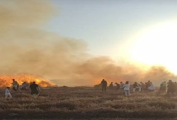 حريقان في الغربية يلتهمان محصول 10 أفدنة ويكشفان هشاشة تأمين الشون