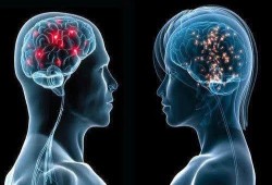 دراسة: تعلم لغة أخرى يحافظ على شباب الدماغ