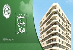 600 كيلو مستندات تباع بـ4200 جنيه وموظف هارب.. تفاصيل إعدام أرشيف “نيركو” تكشف فسادًا بمئات الملايين