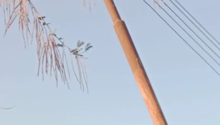 أعمدة آيلة للسقوط تهدد نجع الجامع ونجع مكي والأهالي يطالبون كهرباء الوقف بقنا بالتدخل قبل وقوع كارثة