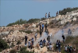 سجلات الاحتلال تكشف 867 جريمة للمستوطنين ضد الفلسطينيين وبلا محاسبة