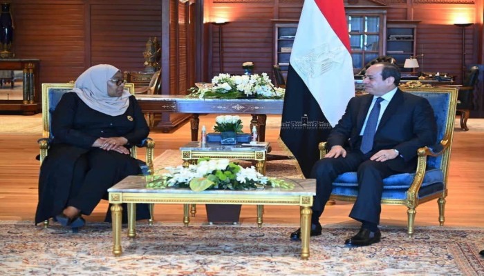 السيسي يطرح التعاون الزراعي والموانئ في تنزانيا بينما تكشف التجارة المنكمشة وفشل ملف النيل صعوبات التنفيذ
