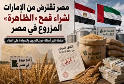 قرض وشركة إماراتيان وقمح مصري.. الحكومة تدفع بالدولار لشراء محصول مزروع على أرض مصر