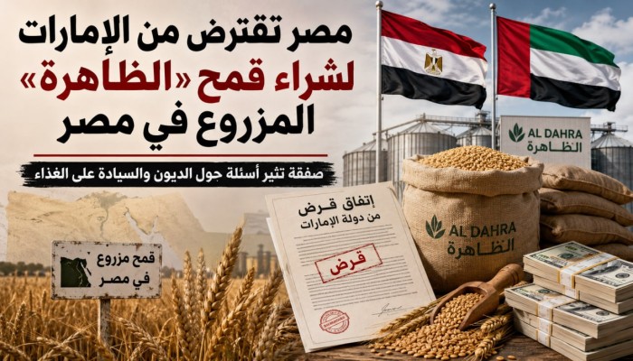 قرض وشركة إماراتيان وقمح مصري.. الحكومة تدفع بالدولار لشراء محصول مزروع على أرض مصر