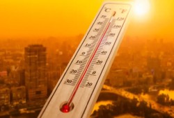 موجة حر قياسية تضرب مصر.. وشح المياه والآفات مخاطر تهدد المحاصيل الزراعية