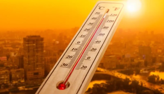 موجة حر قياسية تضرب مصر.. وشح المياه والآفات مخاطر تهدد المحاصيل الزراعية