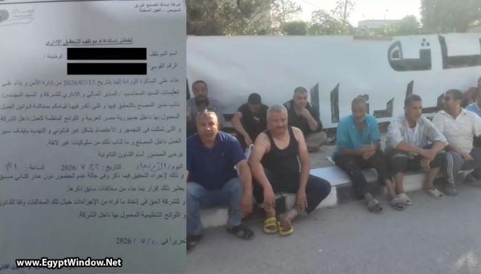 أزمة عمال "إيماك" بالعين السخنة تتصاعد لليوم الـ11 وإحالة 8 موظفين للتحقيق