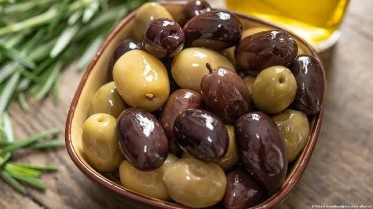 الزيتون بين الفوائد والمخاطر.. كيف يحمي القلب ومتى يتحول الملح إلى تهديد صحي؟