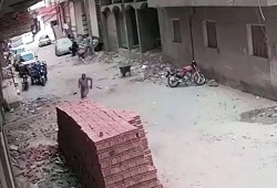 شاهد|| لحظة انهيار 3 طوابق بالدقهلية ونجاة عامل في اللحظات الأخيرة وسط غياب الرقابة