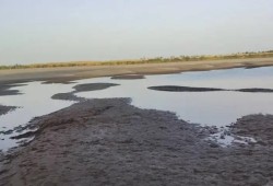 تراجع تدفقات النيل وانحساره بالسودان يعيد مخاوف العطش