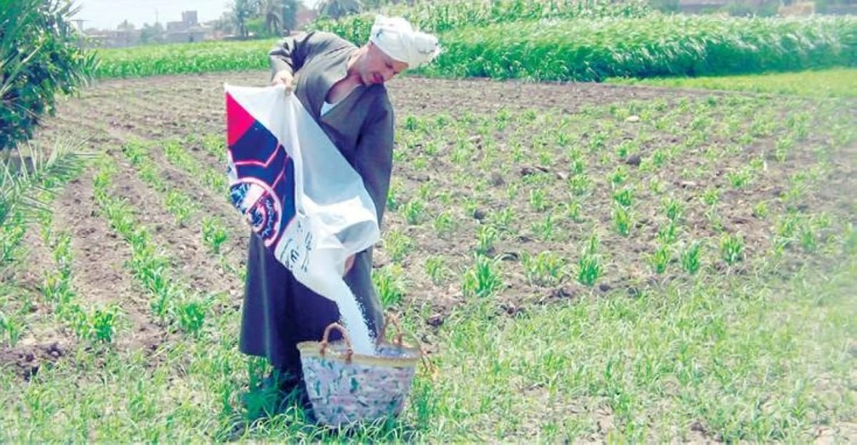 الأسمدة رهينة التعليمات الشفهية وتخبط الحكومة في الصرف يهدد 2٫3 مليون فدان بساتين