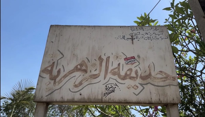 القضاء يؤجل كشف المستور داخل حديقة الزهرية.. هل تخطط الحكومة للقضاء على واحدة من أقدم الحدائق النباتية التاريخية في القاهرة