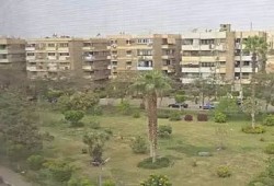 إعدام مستندات شركة نيركو بقيمة 600 مليون جنيه مقابل 4200 جنيه يفتح تحقيقات في شبهة التستر على مخالفات مالية