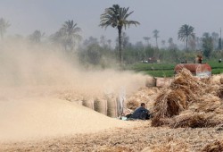 المجلة || هل تنجح «القرى المنتجة» في وقف نزيف هجرة الشباب من الريف المصري؟