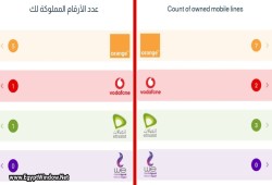تنظيم الاتصالات يحيل شركات المحمول الأربع إلى النيابة ويشدد إجراءات تسجيل الشرائح