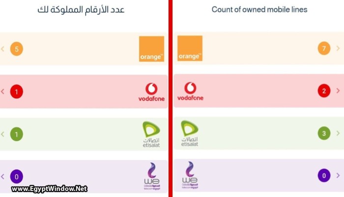 تنظيم الاتصالات يحيل شركات المحمول الأربع إلى النيابة ويشدد إجراءات تسجيل الشرائح