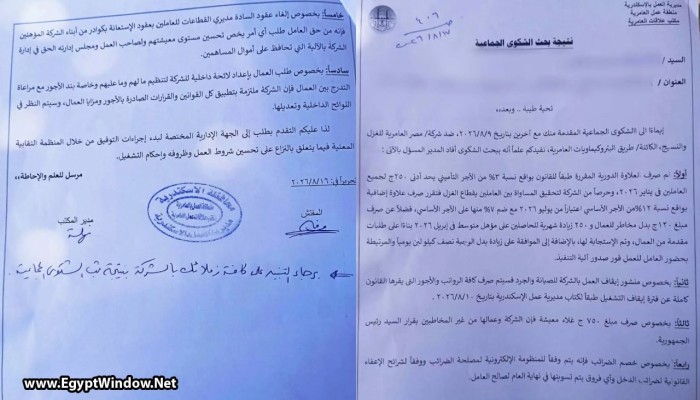 عمال العامرية للغزل يرفضون رد مديرية العمل: مطالبنا بشأن الأجور والعلاوات لم تُحسم