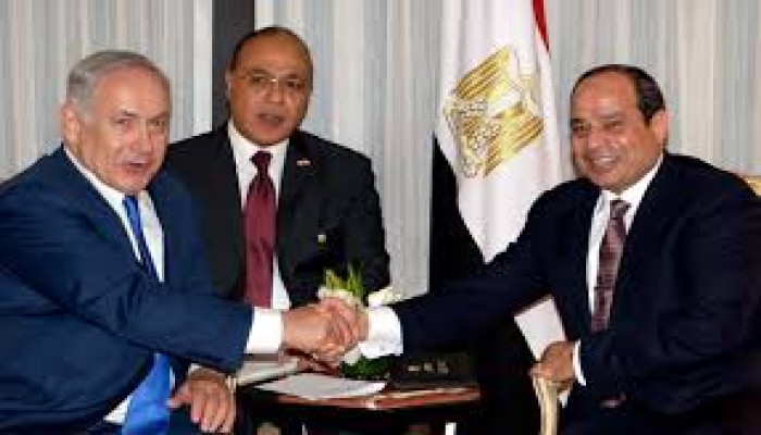 تحليل إسرائيلي: يجب أن نعمل على بقاء النظام الحالي في مصر وألا نسمح بسقوطه