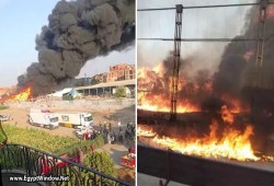 بالفيديو.. حريق هائل بمصنع برتقال بالشرقية يصيب 14 شخصًا