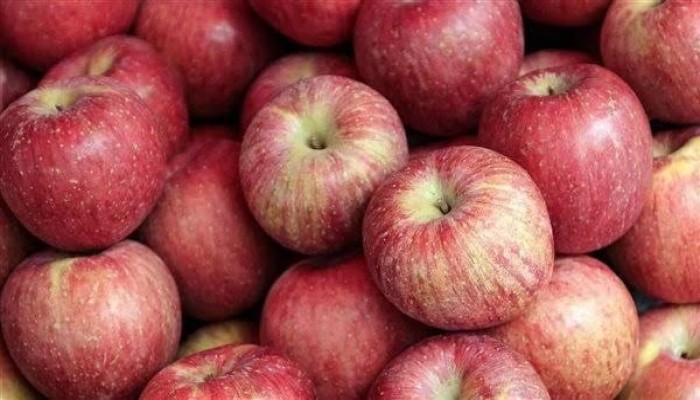 التفاح والحبوب.. خيارات غذائية تدعم صحة الجهاز الهضمي