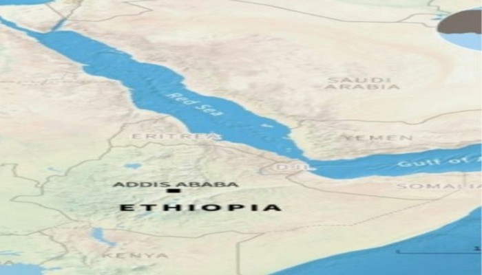 هورن ريفيو || مصر واليمن في المنظومة الأمنية لإثيوبيا