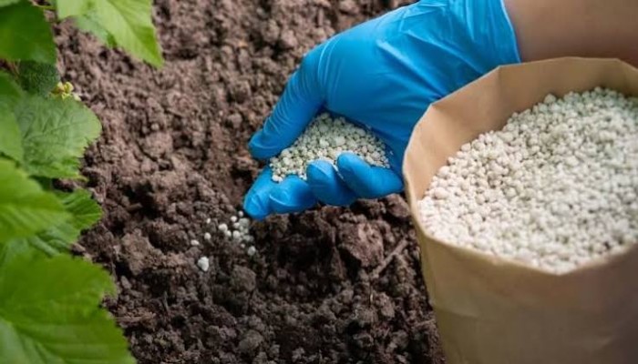 مع ارتفاع كلفة الغاز.. خفض حصة الأسمدة المدعومة من إنتاج مصانع مصر إلى 30%
