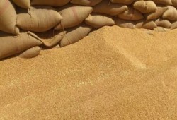 أس آند بي جلوبال || أزمة إمدادات القمح تهدد مصر مع تصاعد الصراع في البحر الأسود