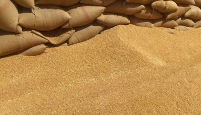 أس آند بي جلوبال || أزمة إمدادات القمح تهدد مصر مع تصاعد الصراع في البحر الأسود