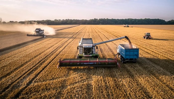 بعد ارتفاعه 19%.. القمح الروسي يهدد رغيف المصريين بزيادة جديدة