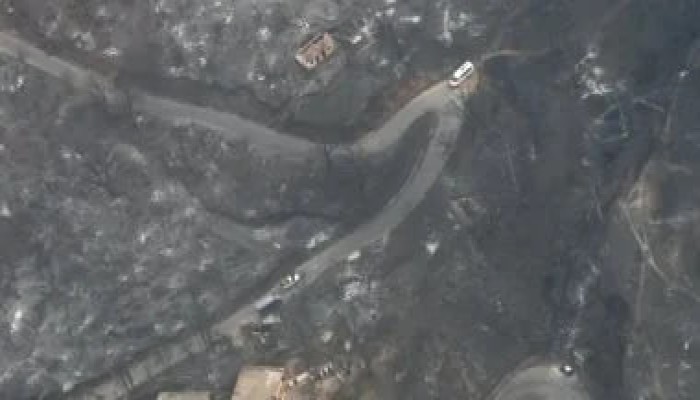 بالفيديو.. إخماد 36 حريقًا من 47  في الجزائر.. وتبون يلوح بوجود شبهة جنائية